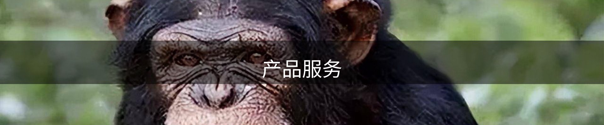 产品服务
