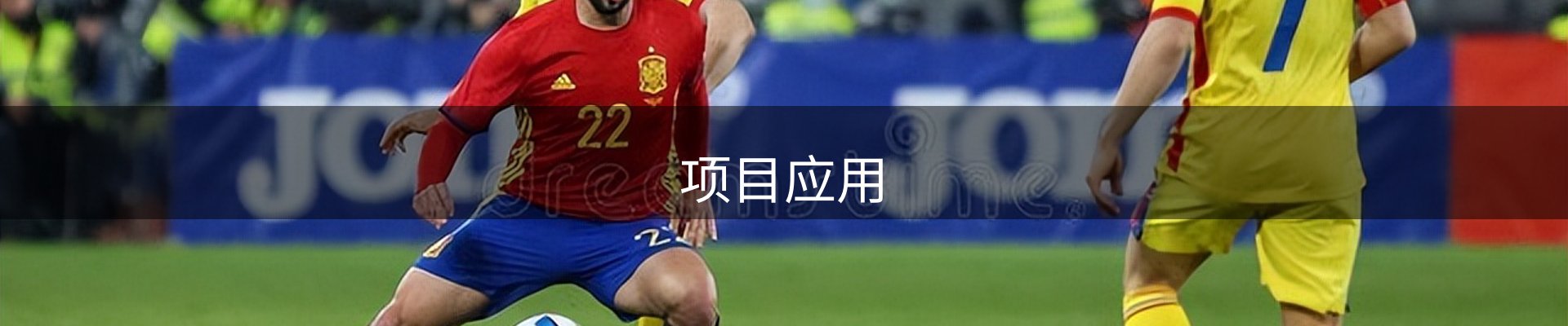 项目应用